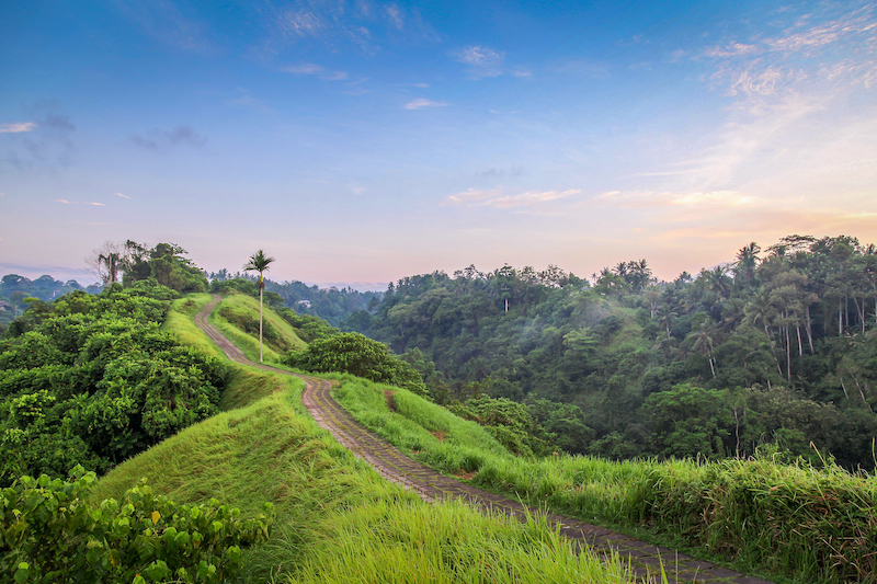 Đường đi bộ Campuhan Ridge Walk