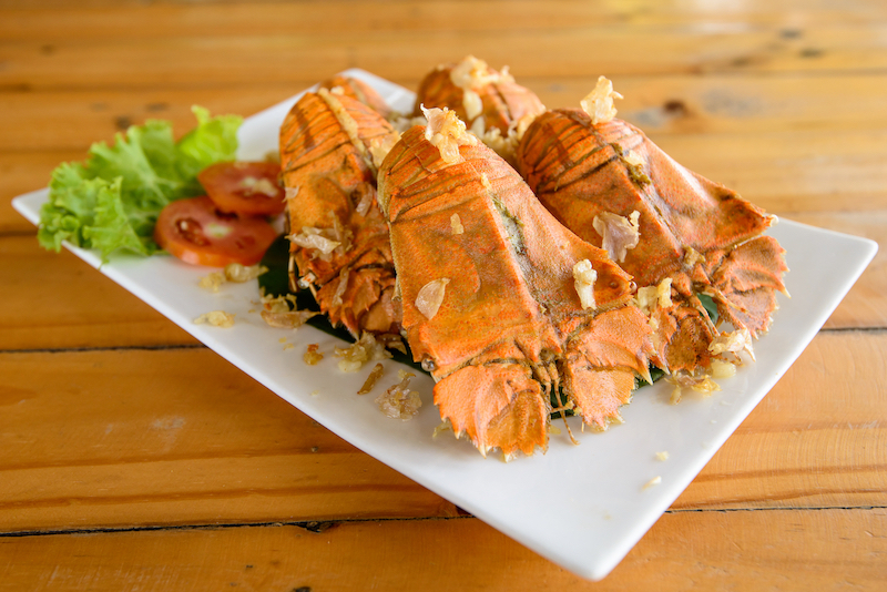 Đặt vé máy bay đi Brisbane từ TP.HCM