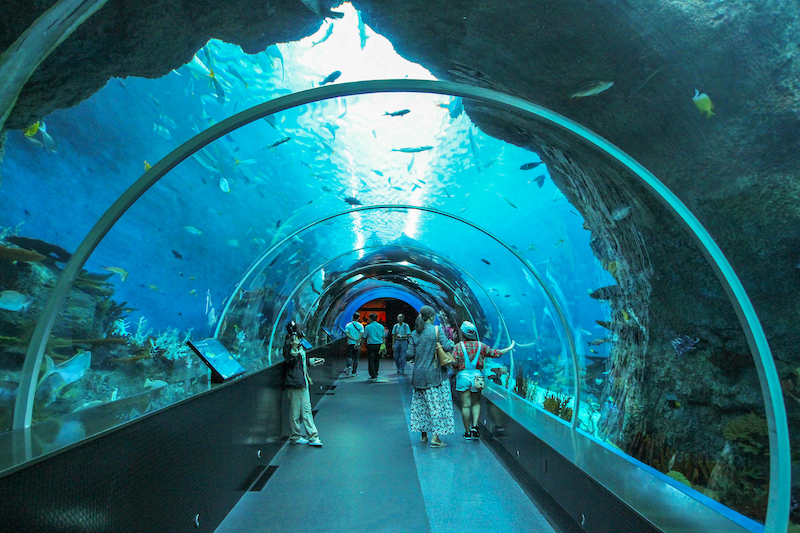 Du lịch sức khỏe Sentosa