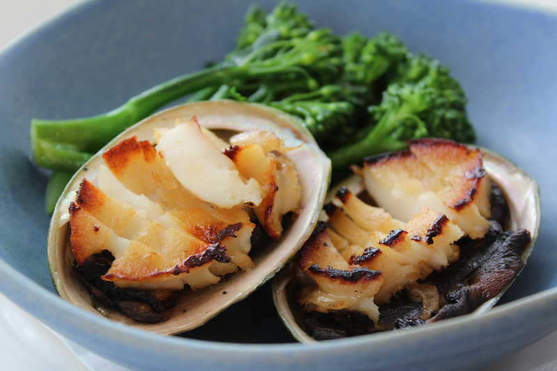 Tasmanian blue-rimmed Australian abalone