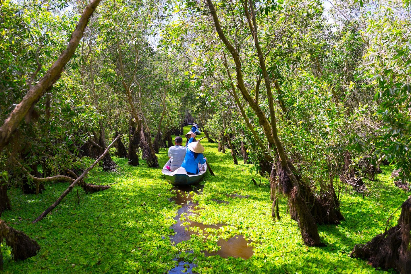 트라수 멜라루카 숲