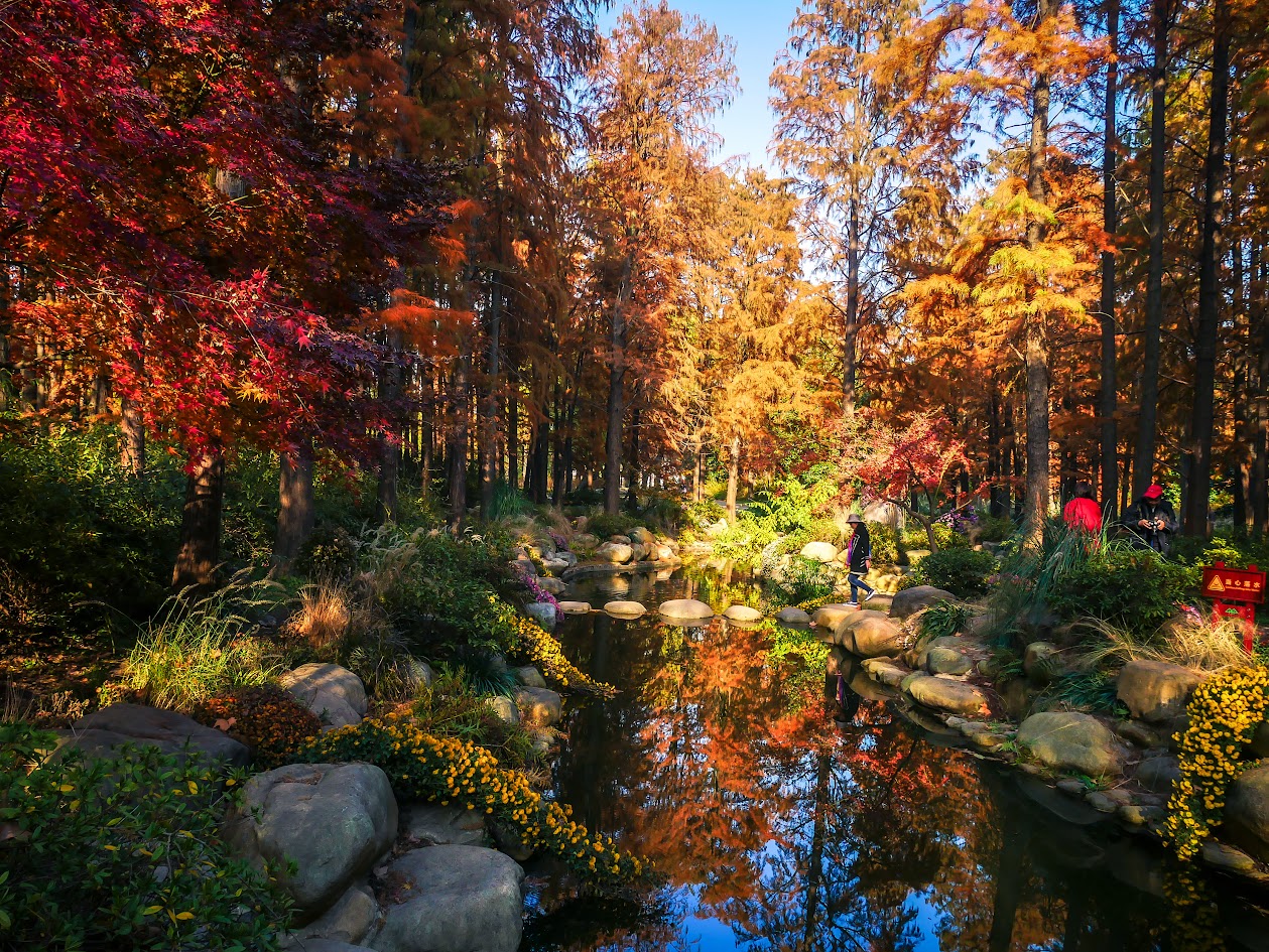 上海的天气有什么特别？什么季节去最好？