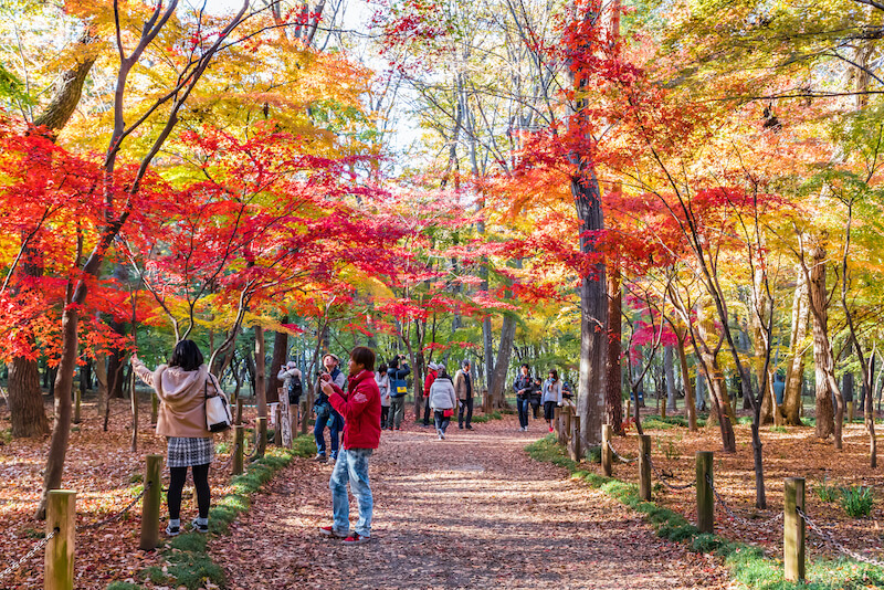 những địa điểm nổi tiếng ở Tokyo