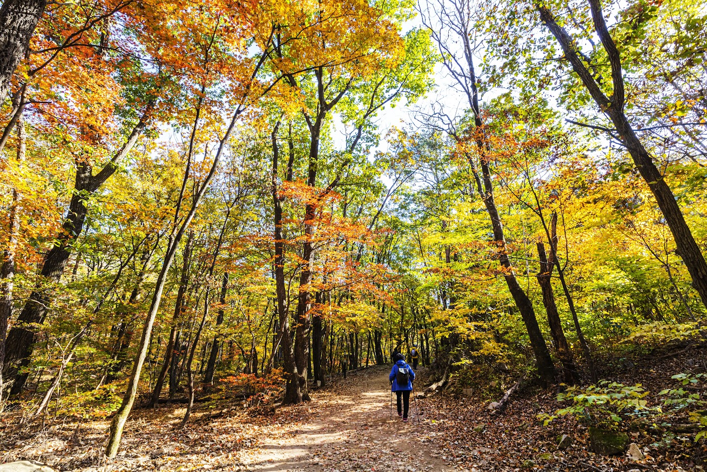 Seoraksan Sokcho autumn