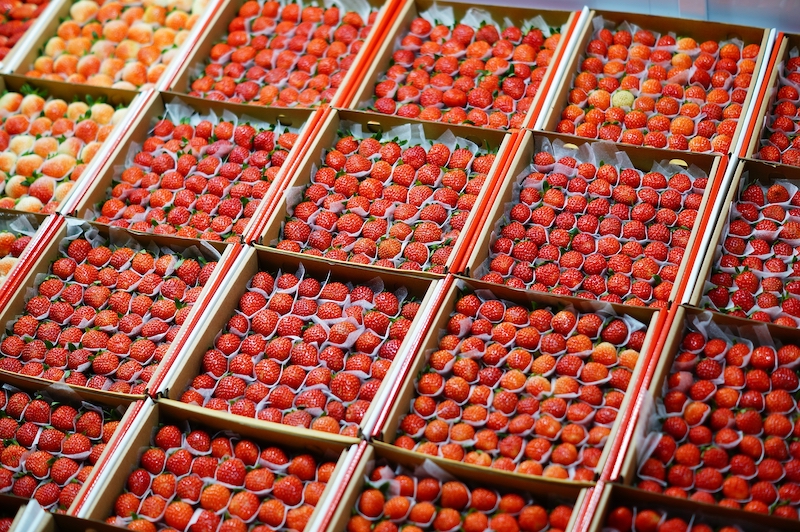 Trái cây tại chợ đêm Đà Lạt