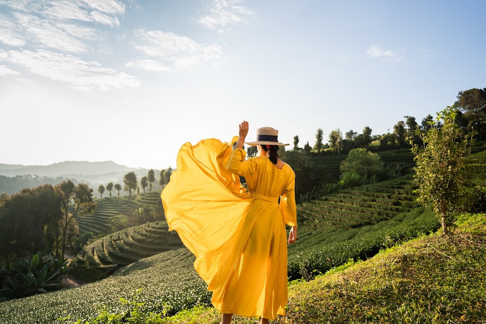 バンコク - チェンライの旅行