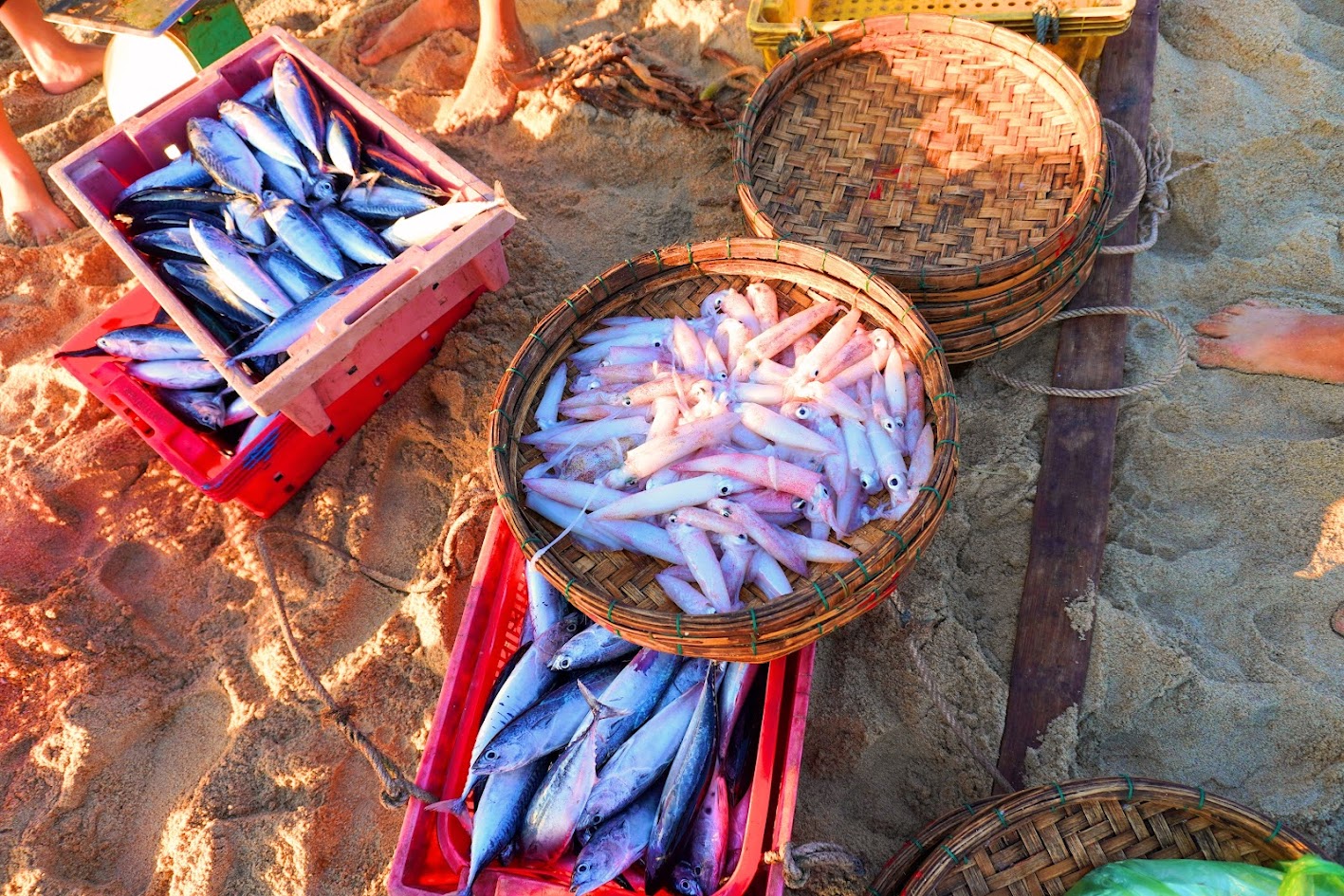 My Khe Beach, Quang Ngai