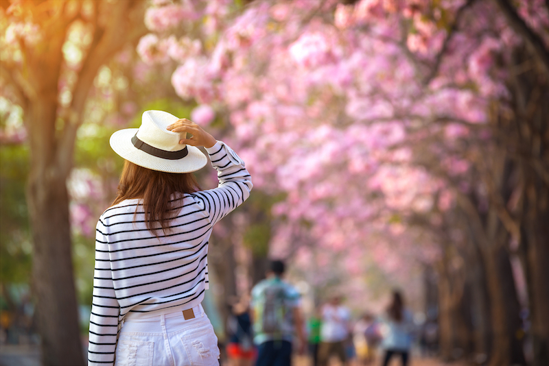 M&ugrave;a xu&acirc;n Nhật Bản