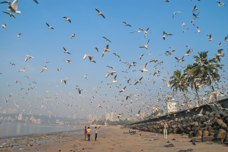 Marine Drive - Mumbai