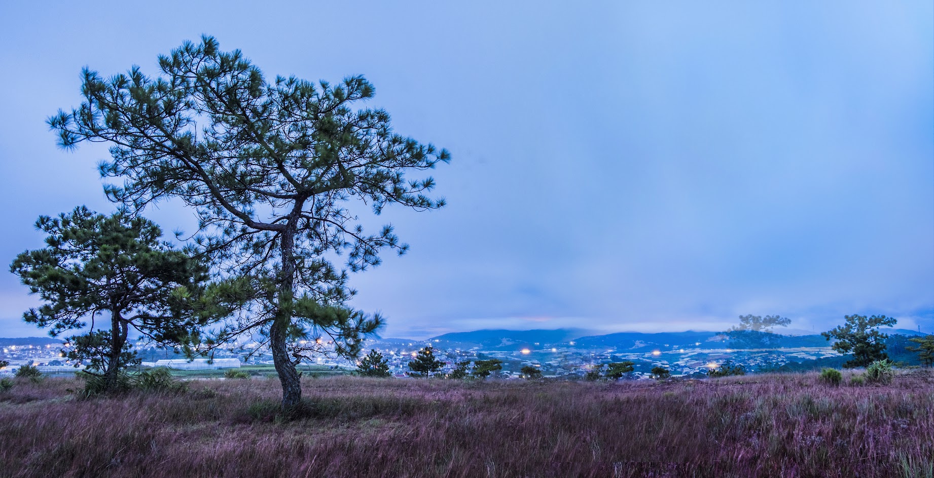 Đồi Thiên Phúc Đức