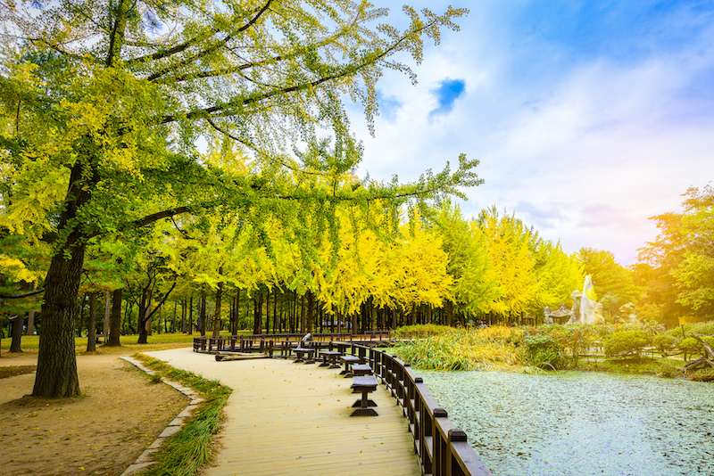 Du lịch Hàn Quốc mùa nào đẹp