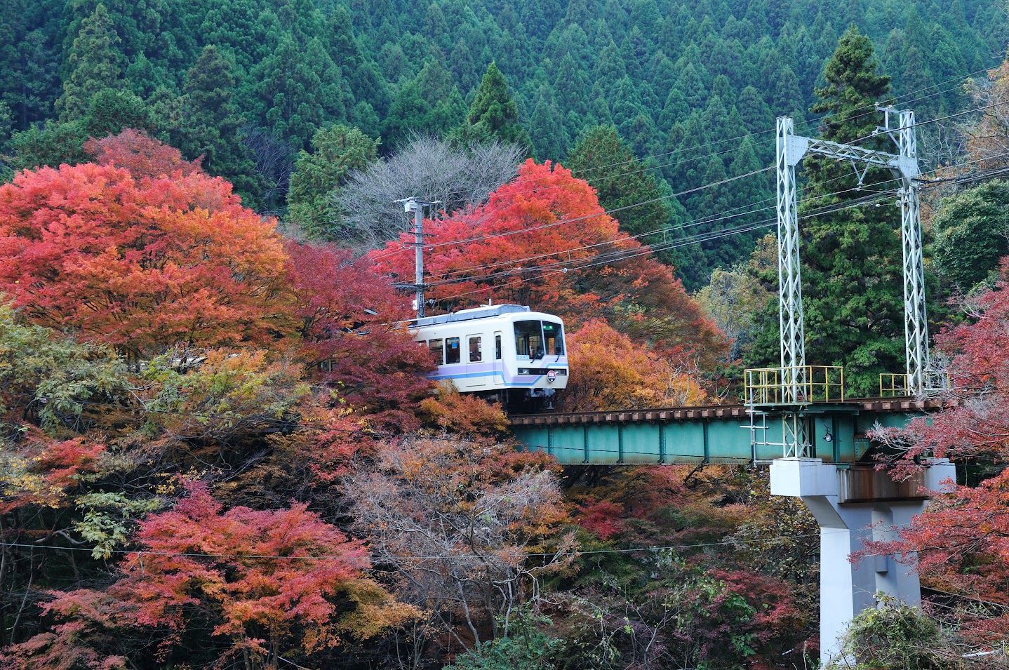 美しい日本の秋景色