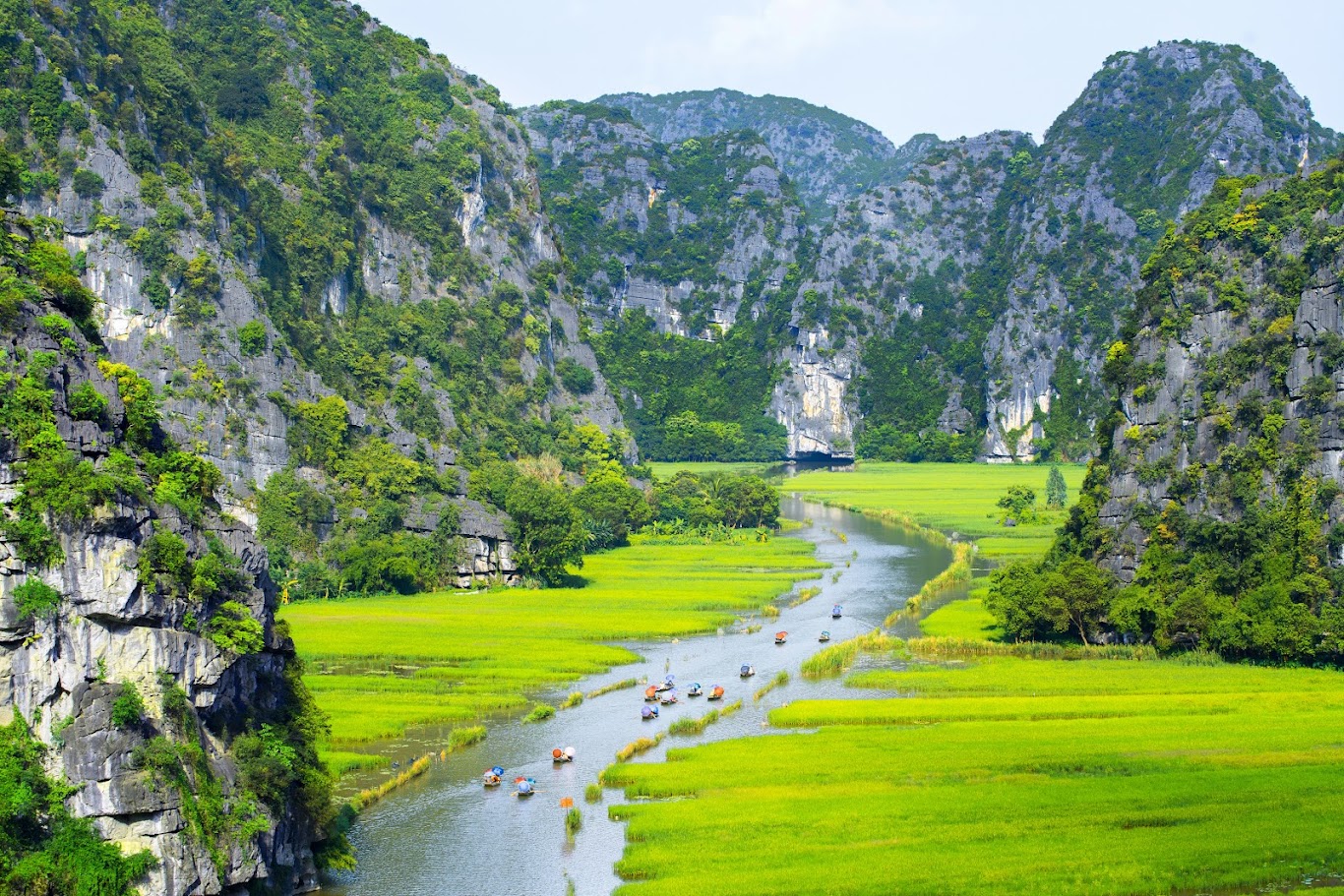 Ninh Binh의 특산물은 무엇인가요? 무엇을 선물로 사야 하나요?