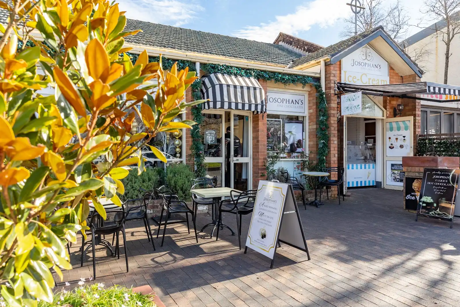 探索藍山 - 澳洲的自然奇觀