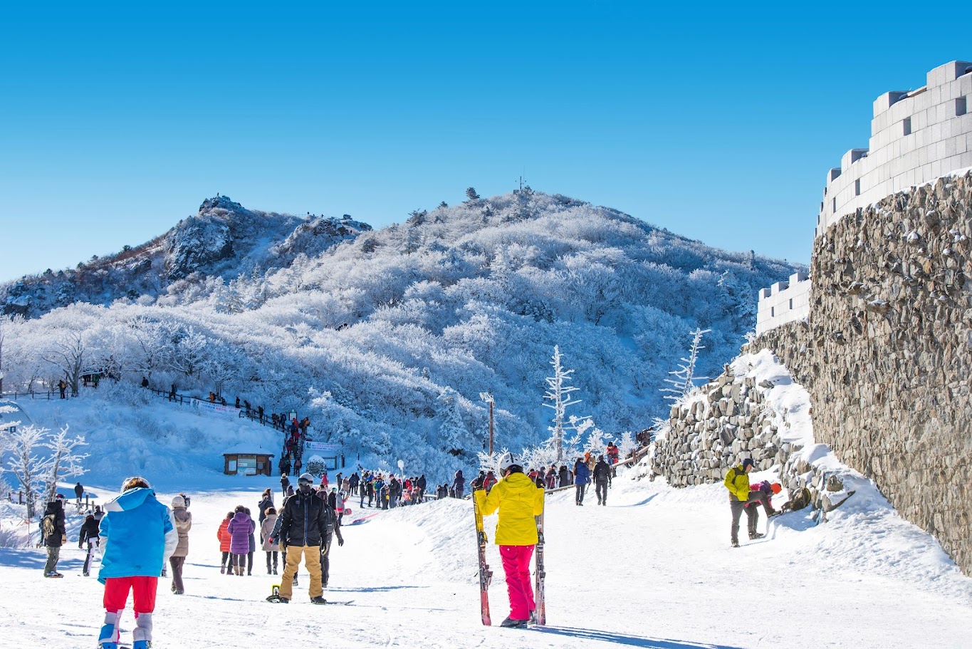 Enjoy breathtaking snowfall in Korea during winter