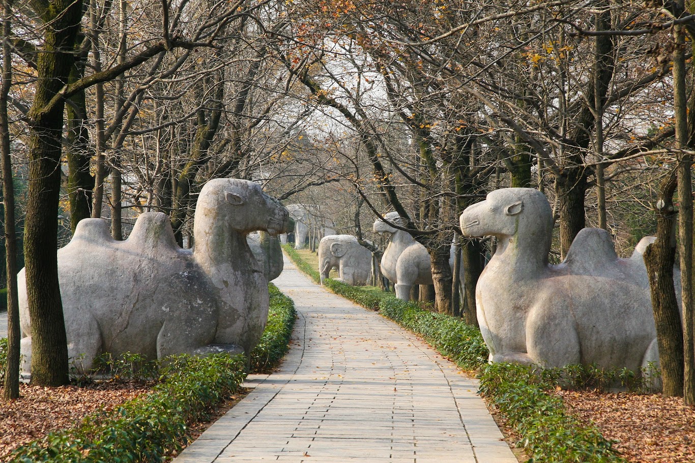 南京有什麼好玩的？探訪古都必去的熱門景點