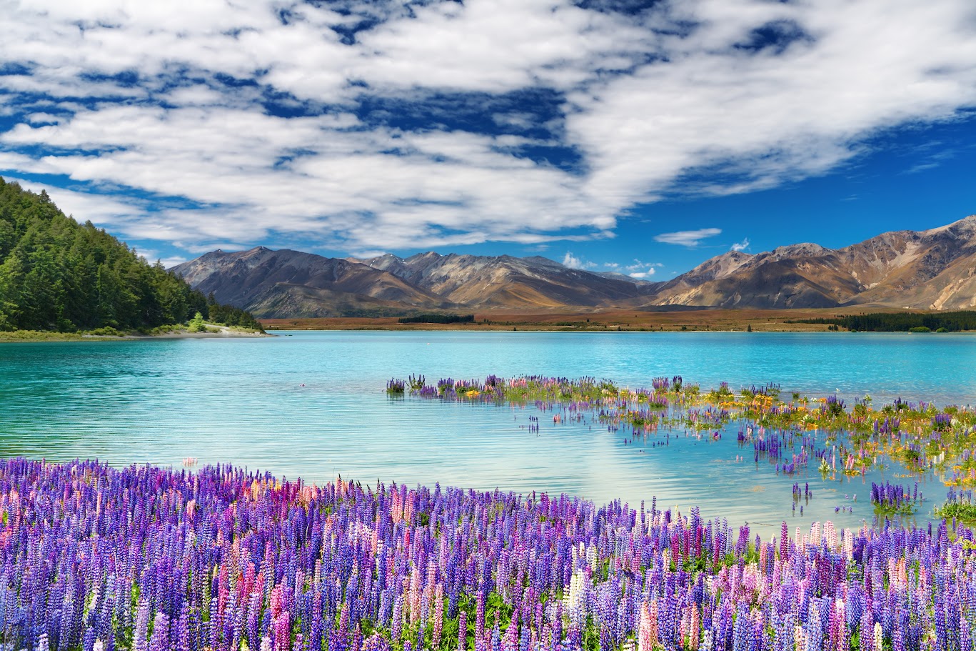 When is the best season to travel to New Zealand?