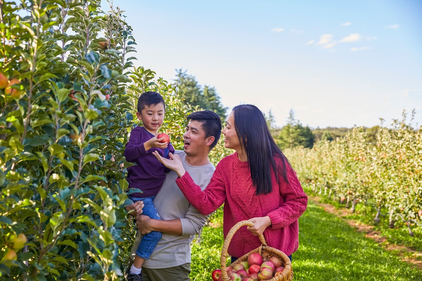 探索藍山 - 澳洲的自然奇觀