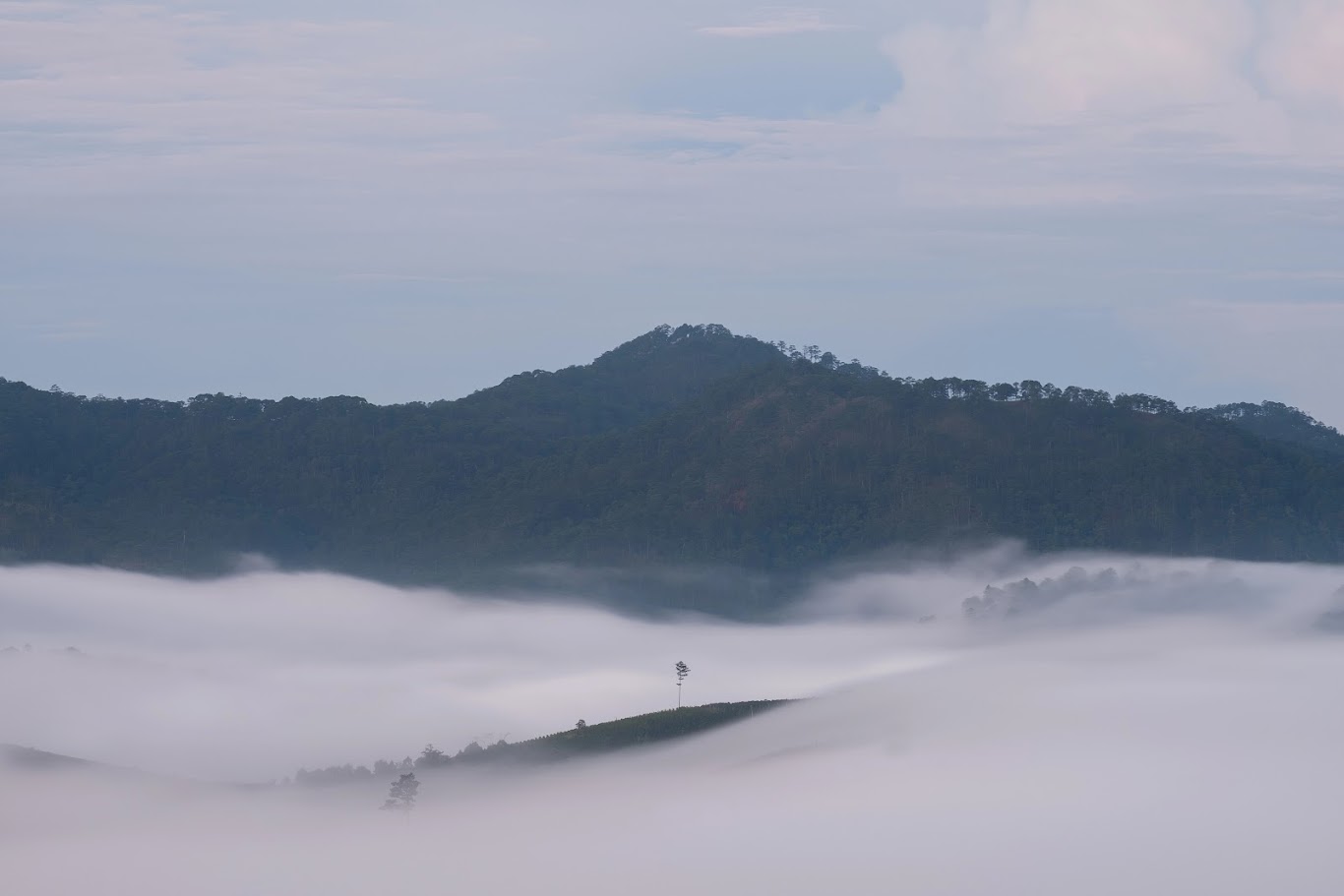 Tips for booking a Tam Dao homestay with a beautiful view for two people