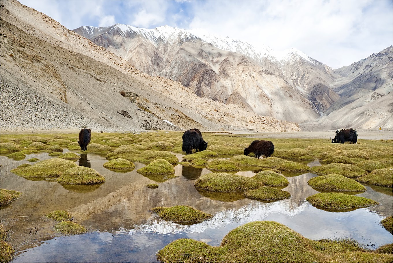 Which Asian country should you visit first?