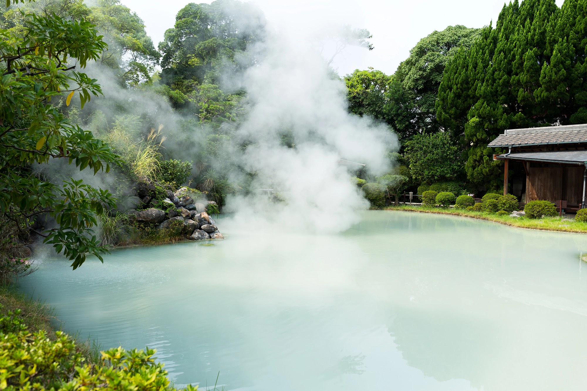 Experience authentic Japanese onsen bathing in Hakone or Beppu