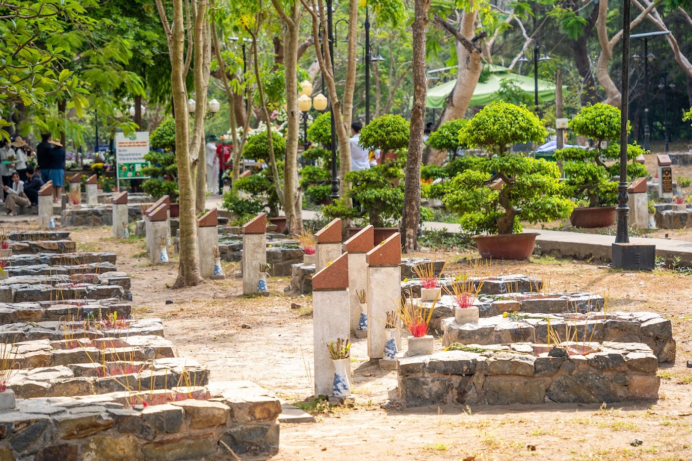 How to book the best flight tickets from Ho Chi Minh City to Con Dao