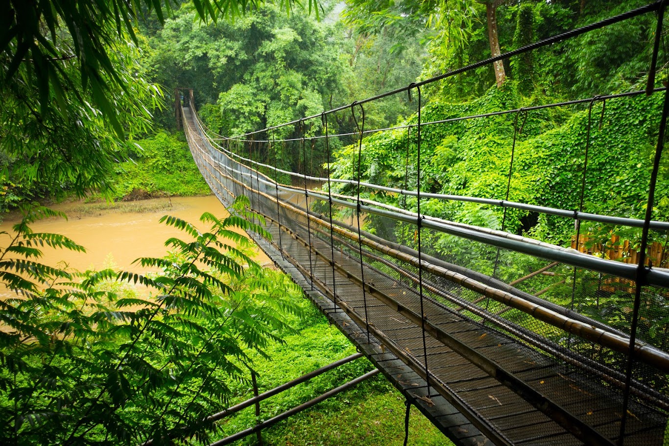 Zipline Adventure in Chiang Mai, Thailand