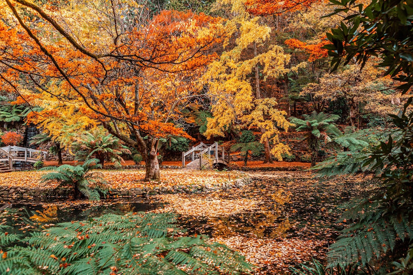 澳洲5月氣候與天氣：哪裡是最值得探索的美景之地？ | Vietjet Air