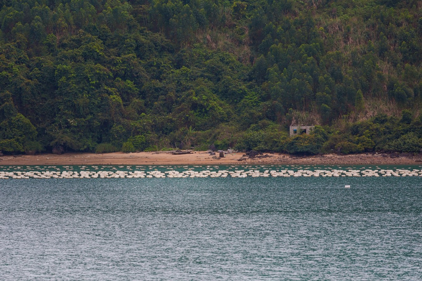 Quan Lan Island Travel Guide: Suggested Itinerary & Ideal Time to Visit