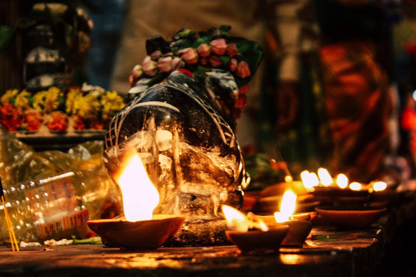 Lễ Diwali của Ấn Độ - Hành trình 7 ngày khám phá miền Bắc Ấn Độ