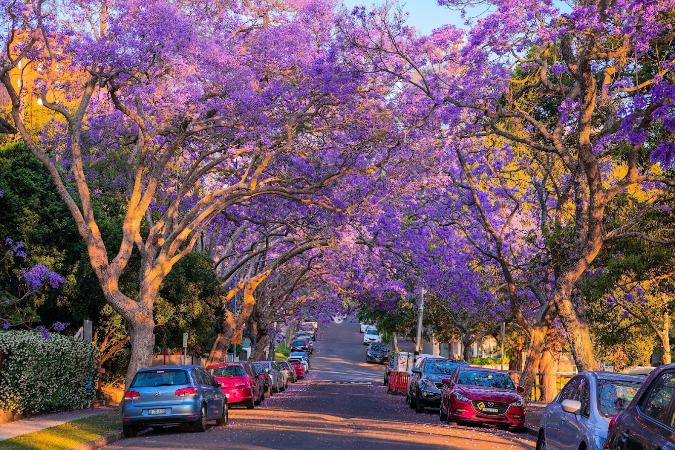 Lịch trình khám phá Sydney 5N4Đ - 7 điểm đến không thể bỏ lỡ