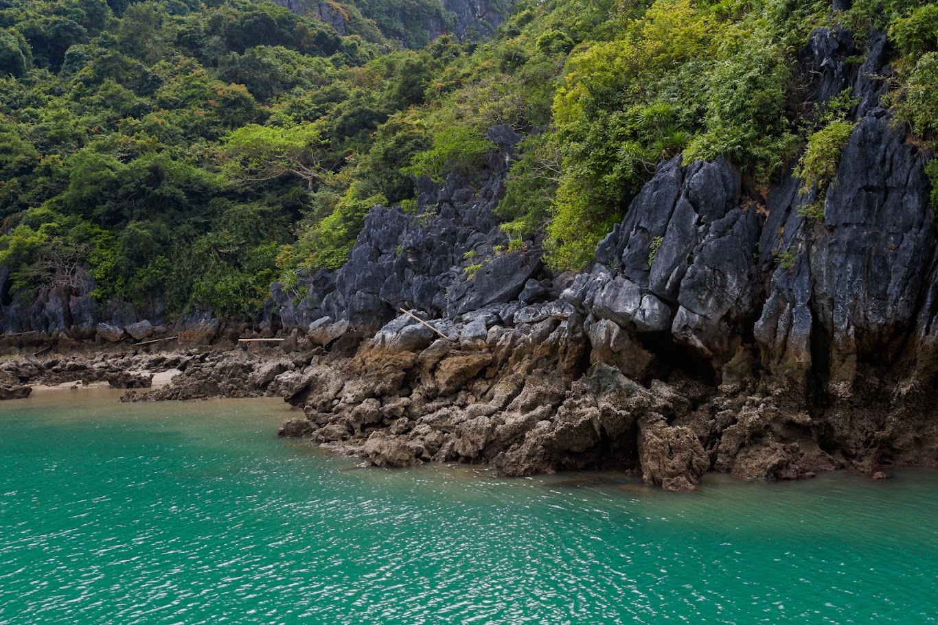 Quan Lan Island Travel Guide: Suggested Itinerary & Ideal Time to Visit