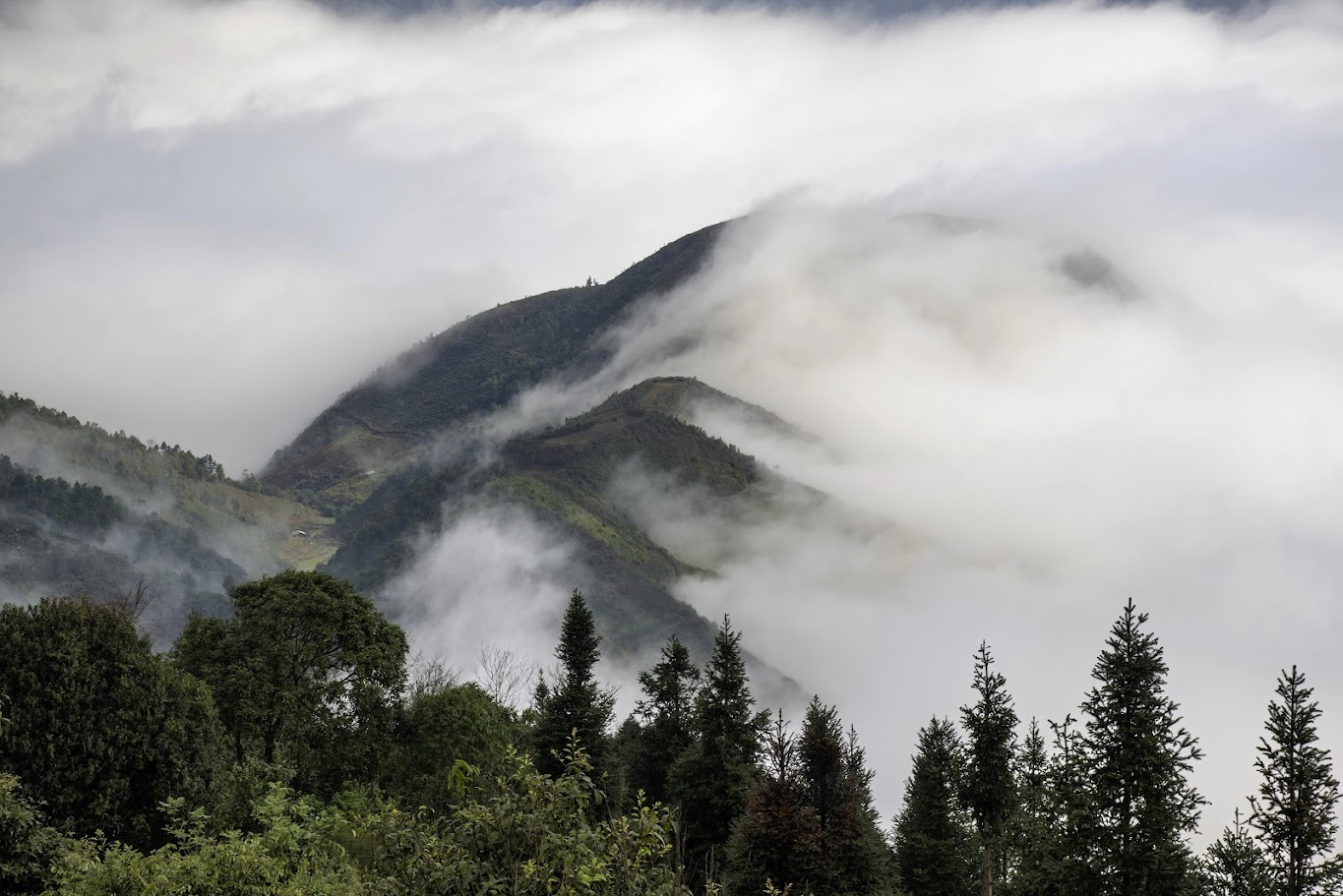 What makes the Ta Xua trekking route special? Discover its wild and challenging beauty