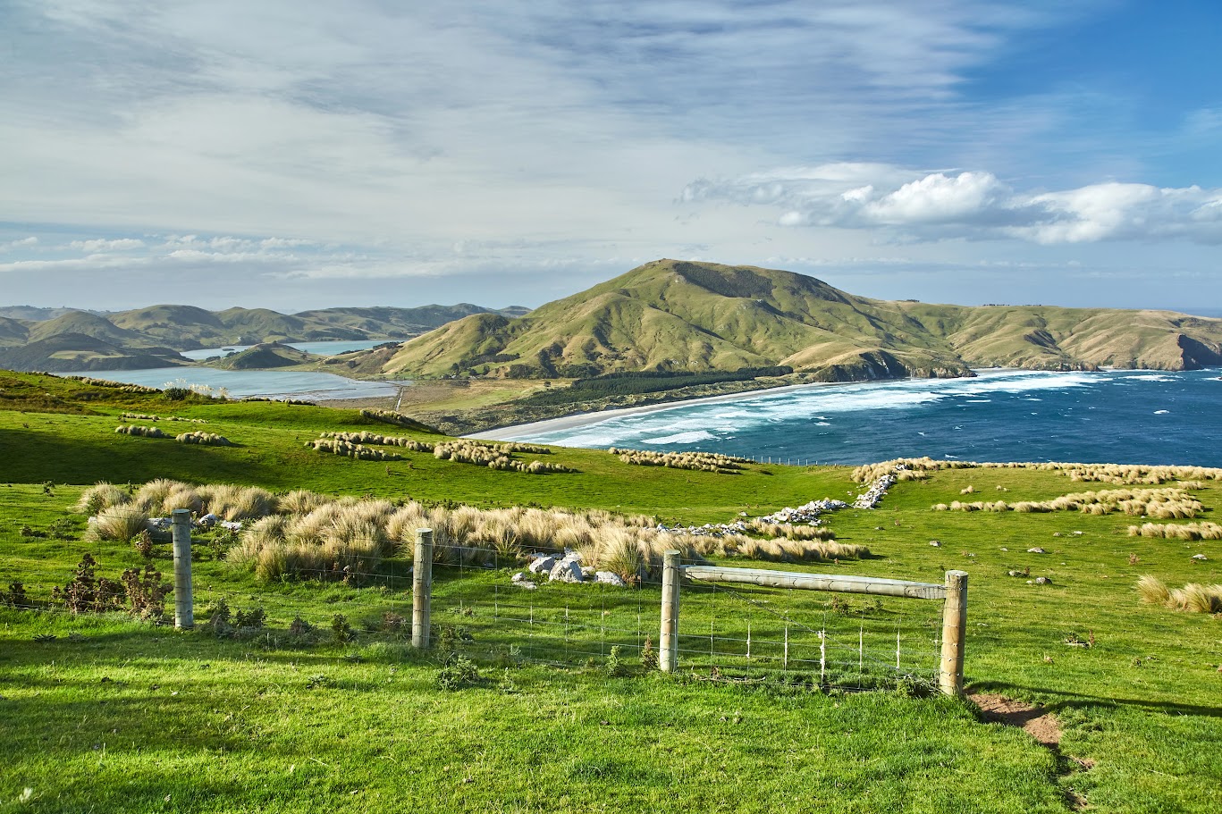 When is the Best Season to Travel to New Zealand?