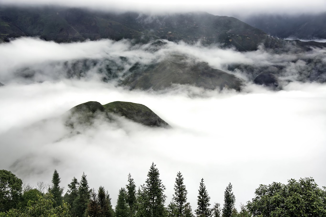 Journey to the Lone Tree of Ta Xua – A Legendary Symbol Amid the Sea of Clouds