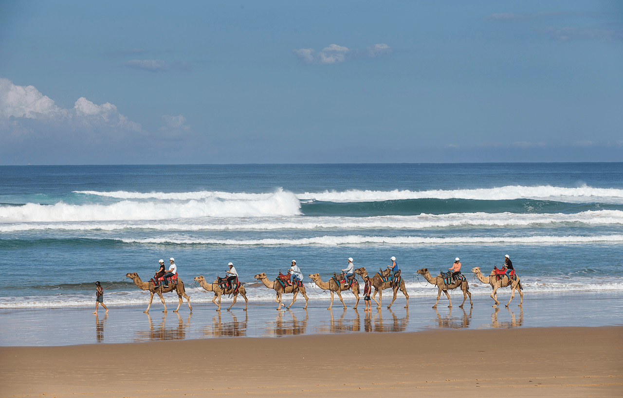 First time in Sydney? Don&rsquo;t miss these 7 must-try experiences