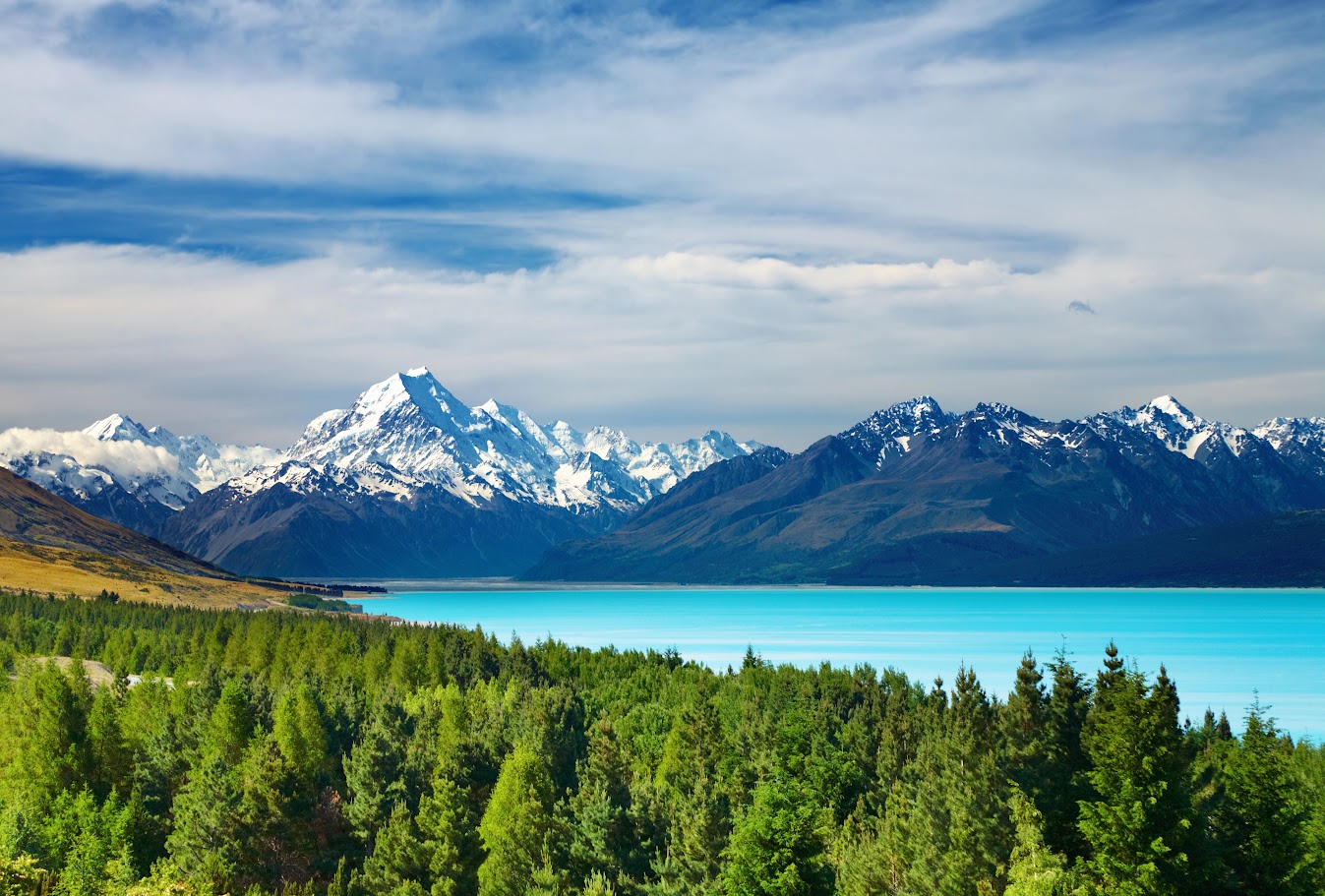 When is the best season to travel to New Zealand?