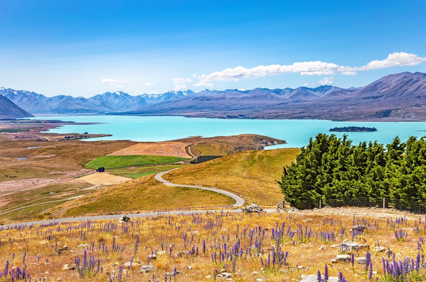 Independent Summer Travel Tips for New Zealand