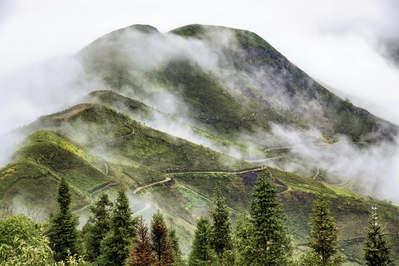 What makes the Ta Xua trekking route special? Discover its wild and challenging beauty