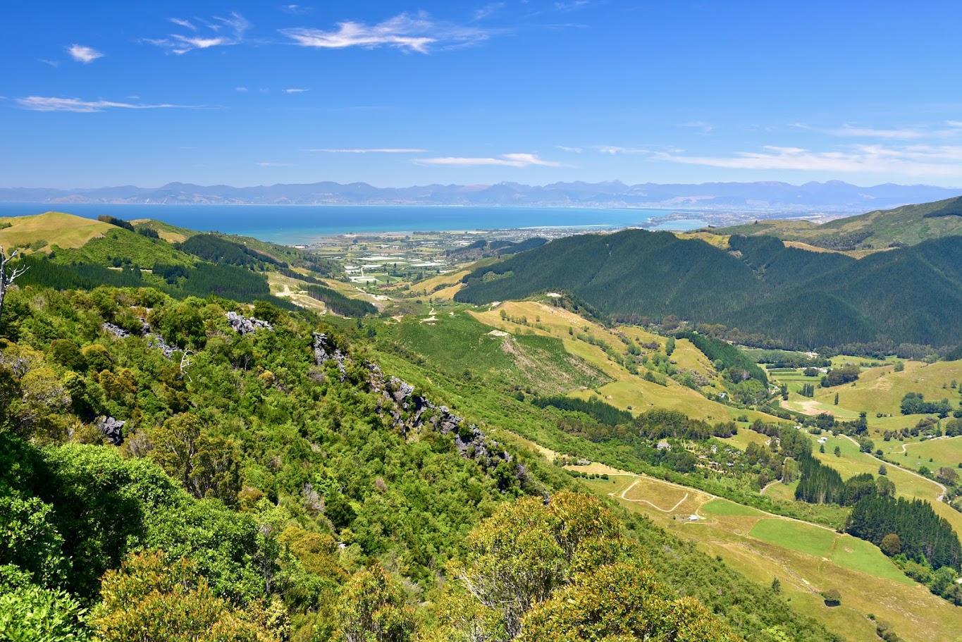 Independent Summer Travel Tips for New Zealand