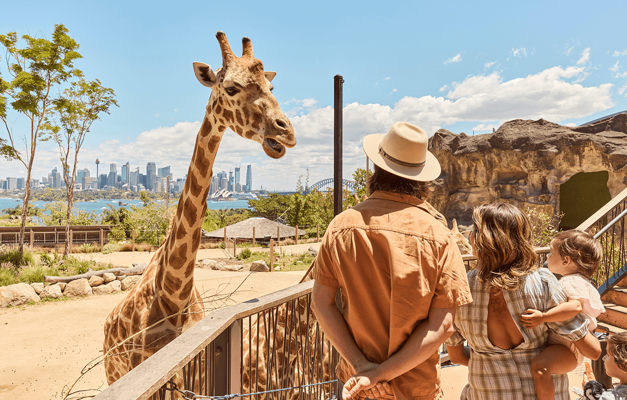 First time in Sydney? Don&rsquo;t miss these 7 must-try experiences