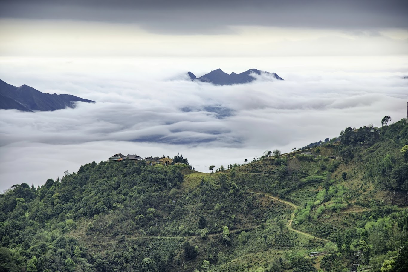 What makes the Ta Xua trekking route special? Discover its pristine and challenging beauty
