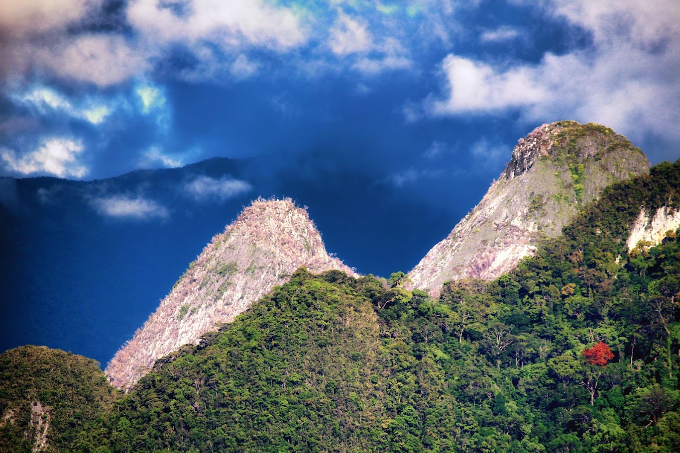 Trekking at Gunung Mulu National Park in Malaysia