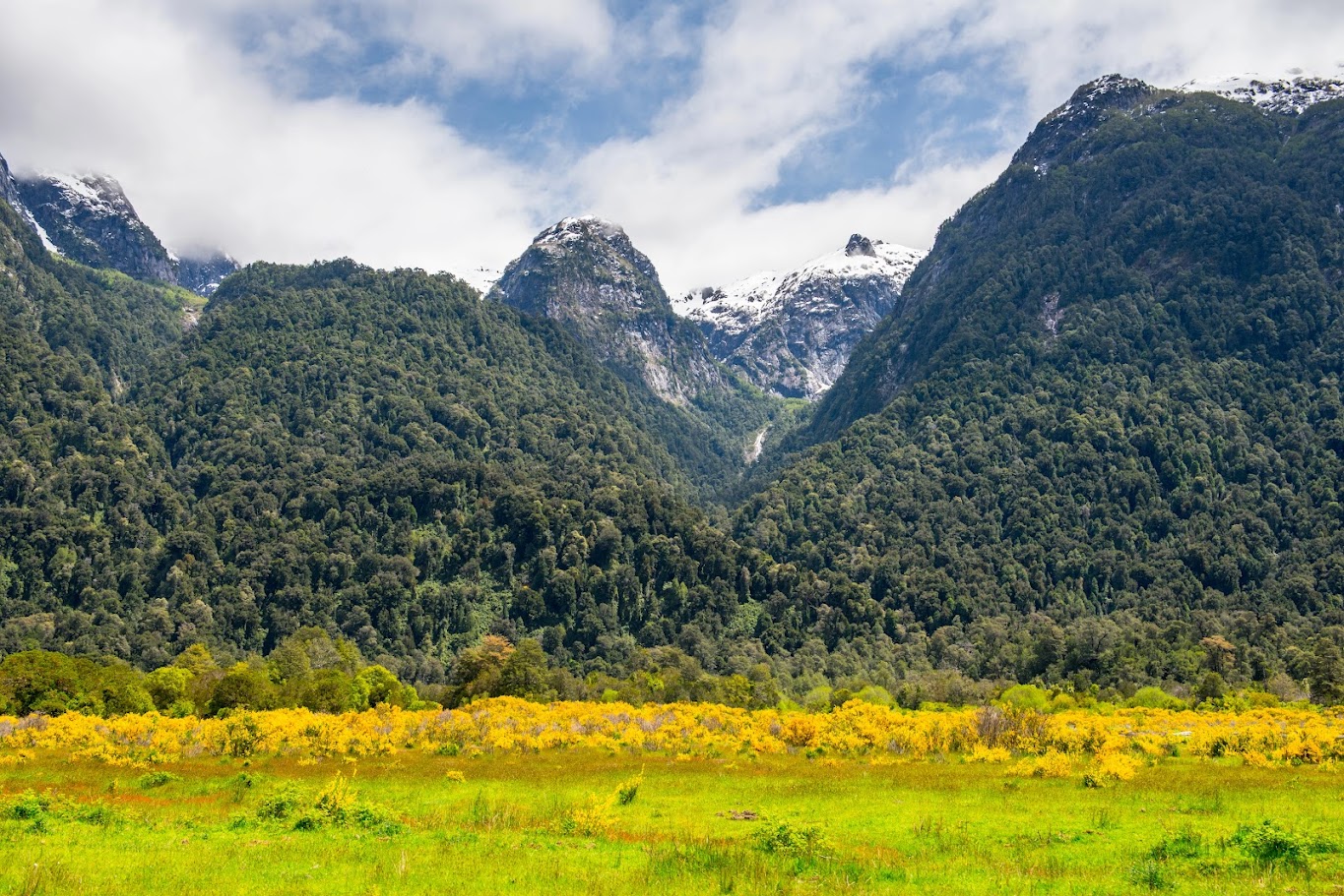 When is the Best Season to Travel to New Zealand?