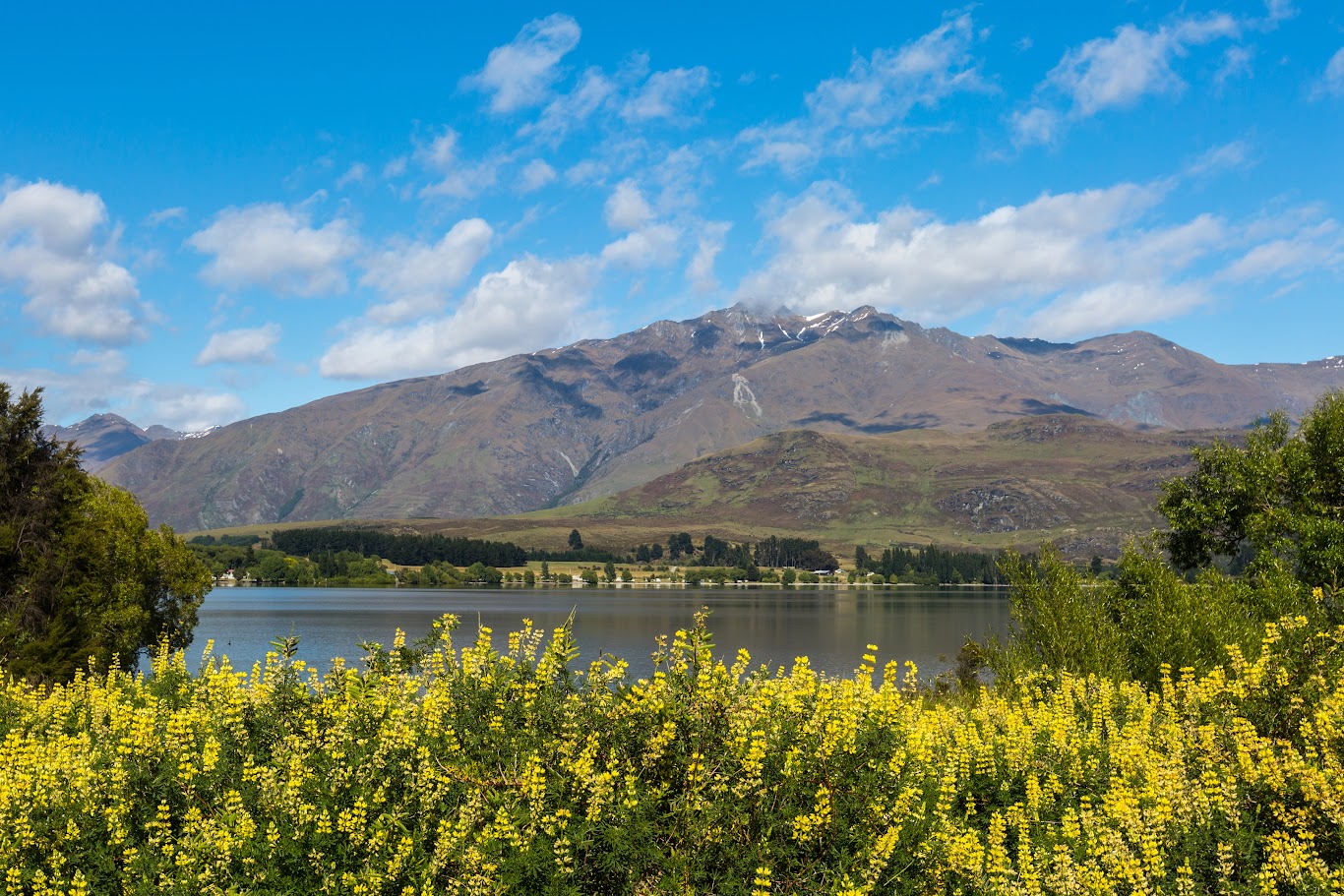 Independent Summer Travel Tips for New Zealand