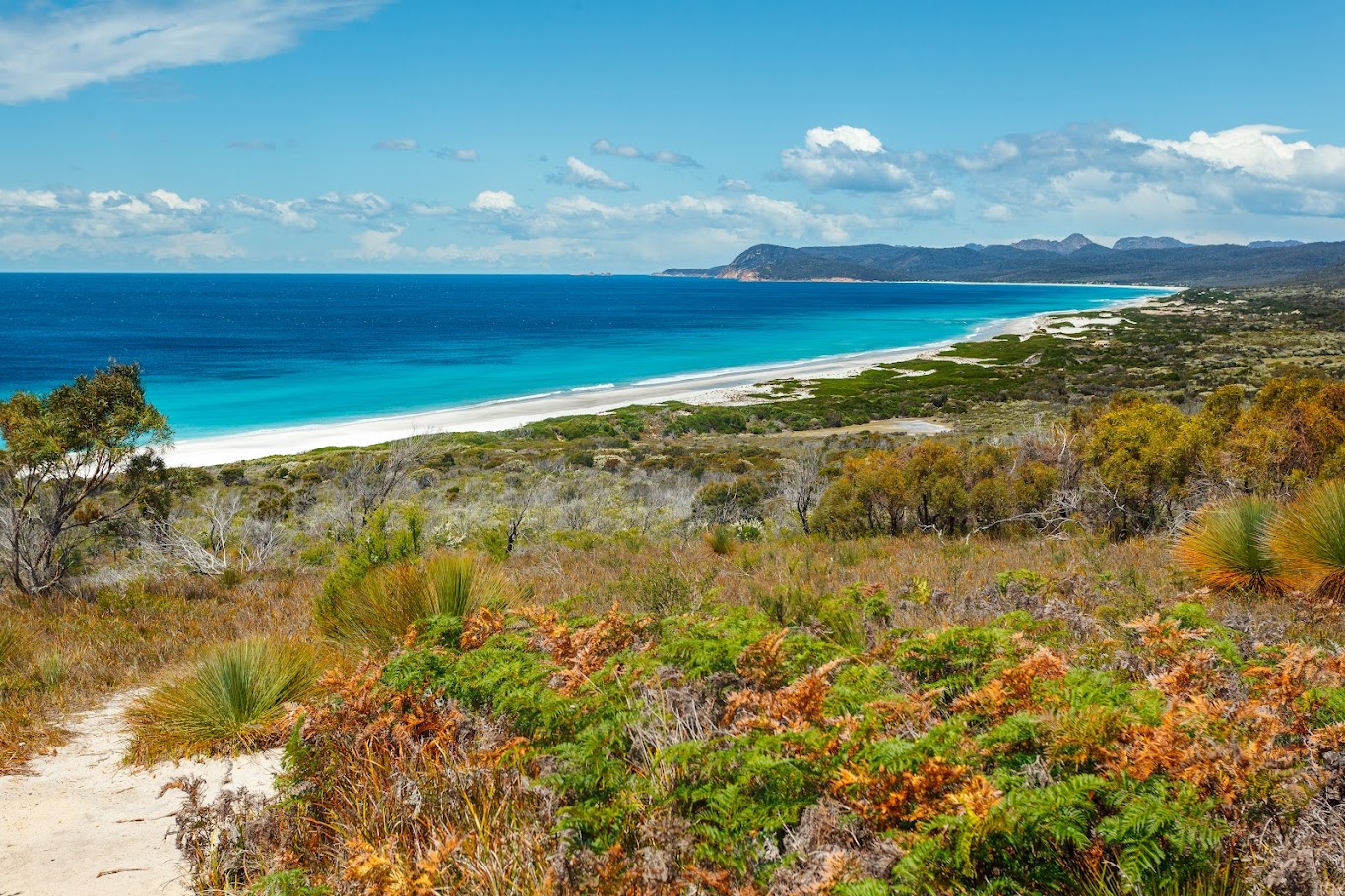 澳洲5月氣候與天氣：哪裡是最值得探索的美景之地？ | Vietjet Air