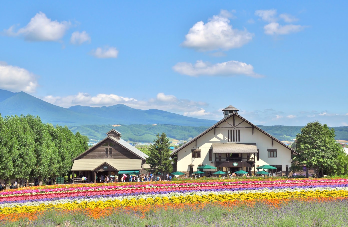 Summer Travel Experience in Hokkaido: Famous Attractions & Transportation Costs