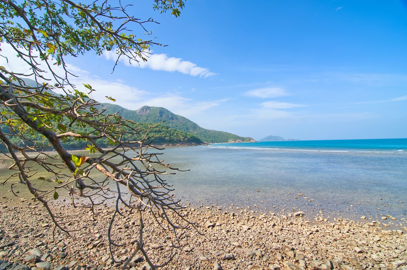 Con Dao Hon Cau 潜水观赏珊瑚旅游