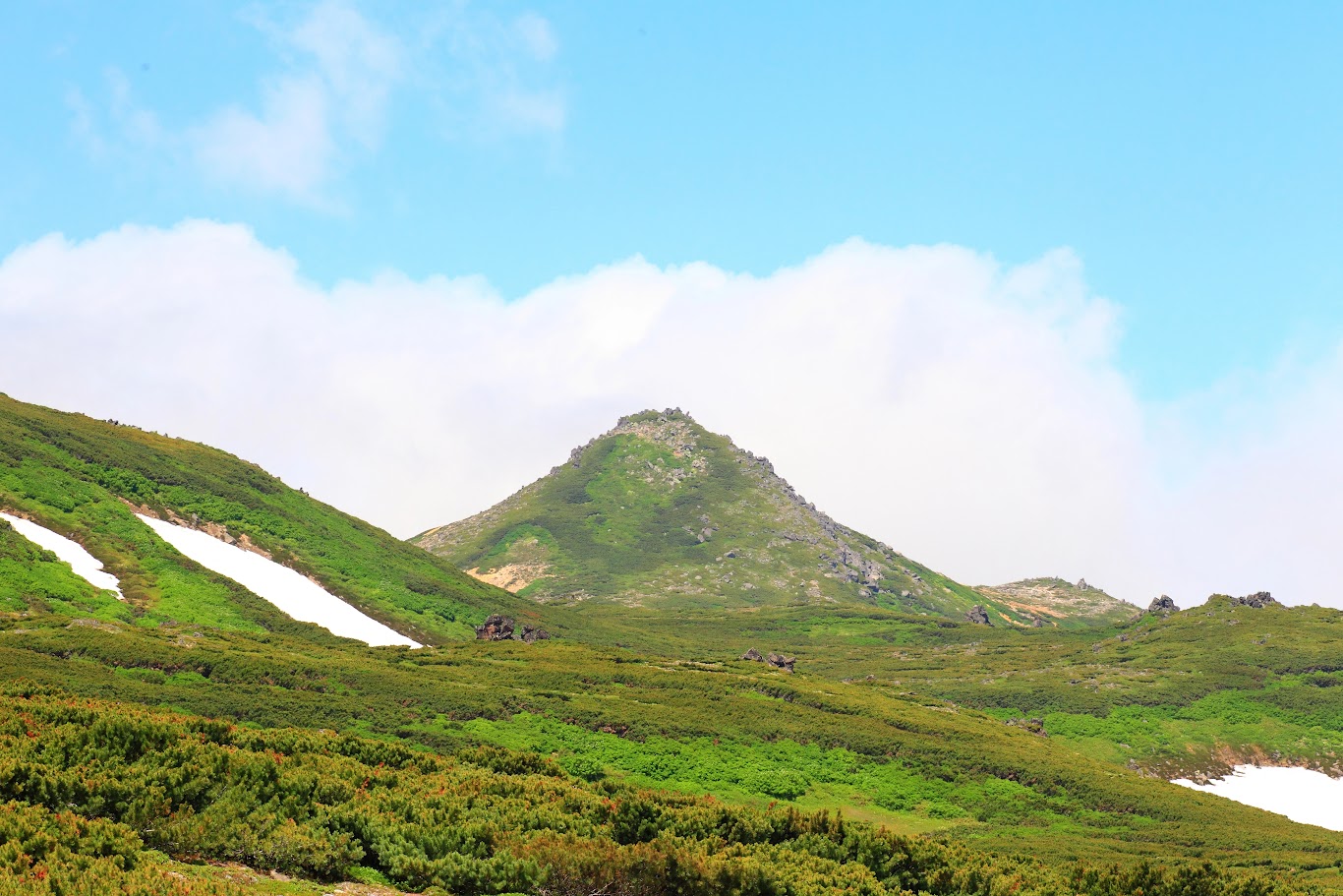 Summer Travel Experience in Hokkaido: Famous Attractions & Transportation Costs