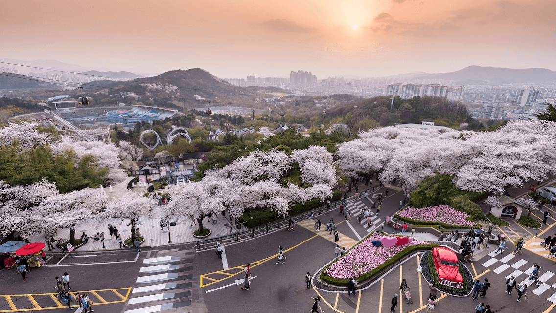 韓國大邱國際機場：資訊、地點與提示